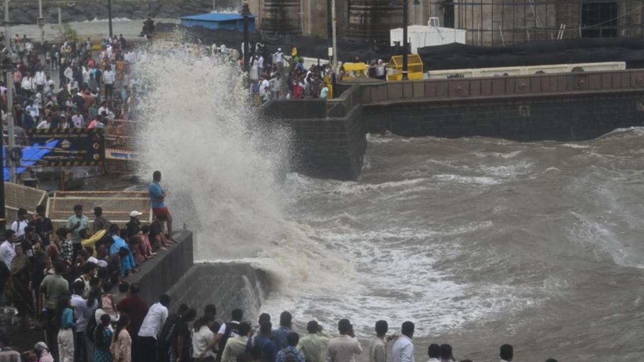 In the wake of the monsoon, BMC has also issued a safety warning regarding falling trees. It wrote on X, 